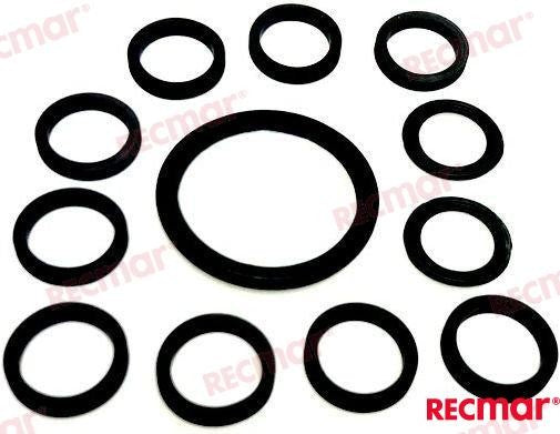 REC22012 WATER PIPE GASKET SET For PARSUN Warranty Incl