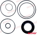 REC22151 DRIVES U-JOINT SEAL KIT For PARSUN Warranty Incl