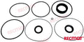 REC23025 SEAL KIT LOWER UNIT XDP For PARSUN Warranty Incl