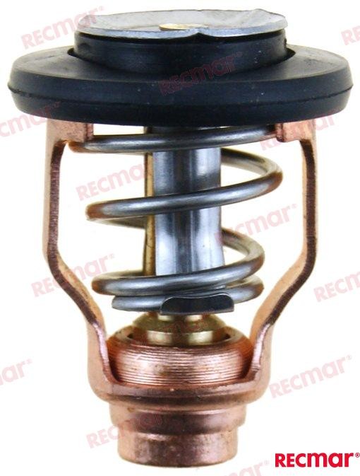 REC6D9-12411-00 THERMOSTAT For PARSUN Warranty Incl