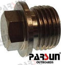 Anode Screw Fits Parsun Outboard F20-05030009