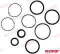 0985060 PISTON REPAIR KIT For OMC Warranty Incl