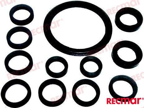 REC22017 WATER PIPE GASKET SET For PARSUN Warranty Incl