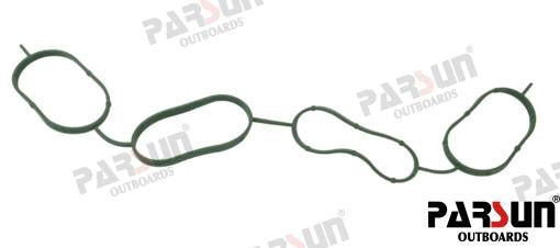 PAF115-05060002 SEAL, INTAKE SILENCER For PARSUN Warranty Incl