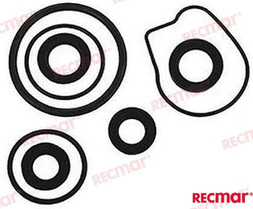 REC18-8362-1 LOWER UNIT SEAL KIT For PARSUN Warranty Incl