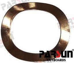 Washer,Wave Fits Parsun Outboard F15-03000023