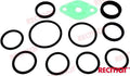 REC22116 WATER PIPE GASKET SET For PARSUN Warranty Incl