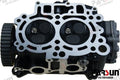PAF20-05030000 CYLINDER HEAD ASSY For PARSUN Warranty Incl