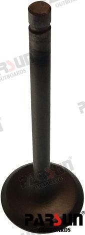 F20-05030001 INTAKE VALVE For Parsun Warranty Incl