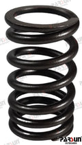 PAF115-05030005 VALVE SPRING For PARSUN Warranty Incl