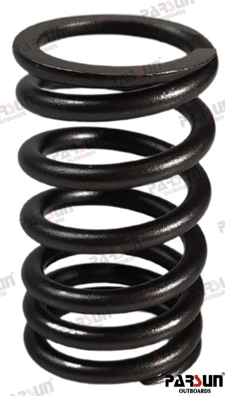 PAF115-05030005 VALVE SPRING For PARSUN Warranty Incl