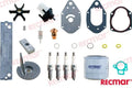 Mercury Service Kit Fits Parsun Outboard RECKITMER50