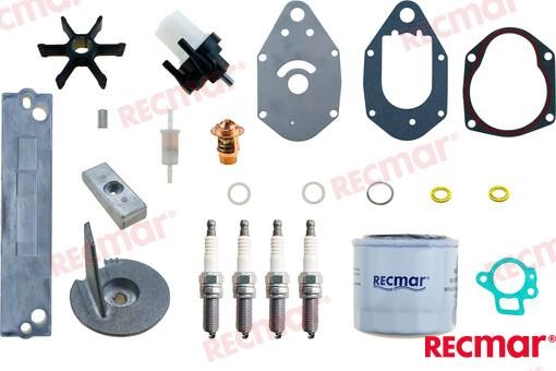 RECKITMER50 MERCURY SERVICE KIT For PARSUN Warranty Incl
