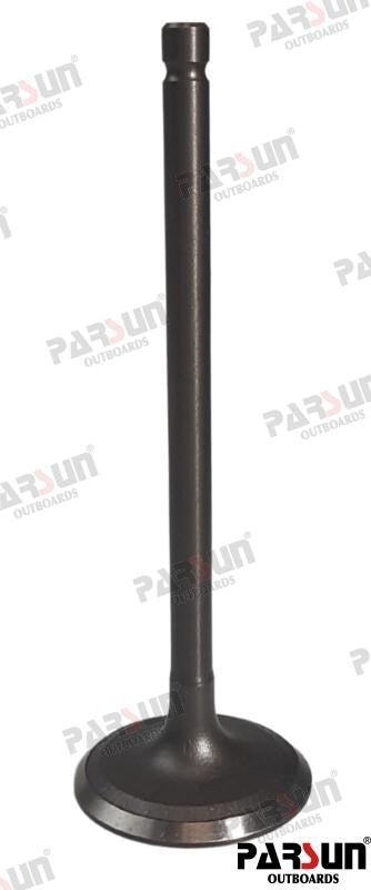 PAF115-05030001 INTAKE VALVE For PARSUN Warranty Incl