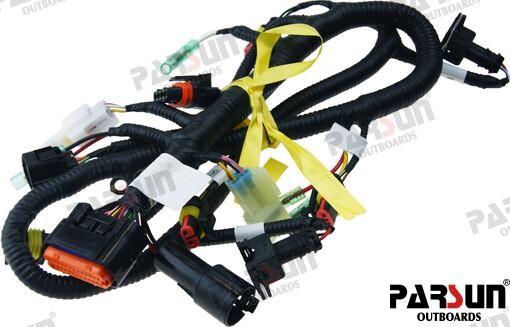 PAF20-05001700MEFI-B ECU CABLE ASSY, MANUAL START For PARSUN Warranty Incl