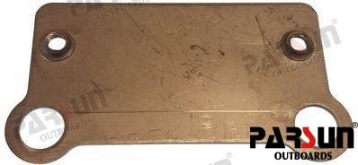 Plate,Cdi Fits Parsun Outboard F8-05000005