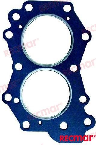 Gasket Fits OMC Johnson Evinrude Outboard 802294
