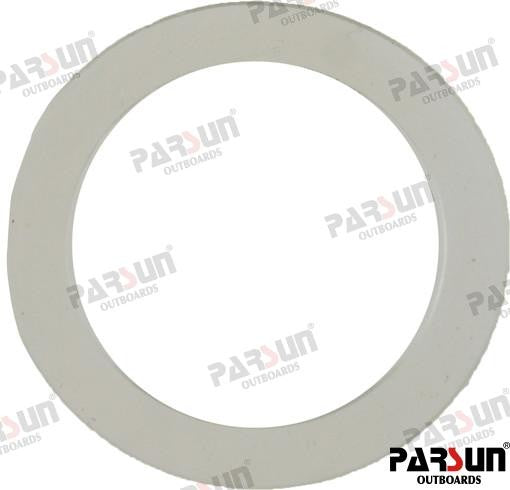 PAT15-04070007 WASHER, EFI For PARSUN Warranty Incl