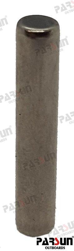 Roller Φ4X21.8G2-2-4 Fits Parsun Outboard T85-06010705