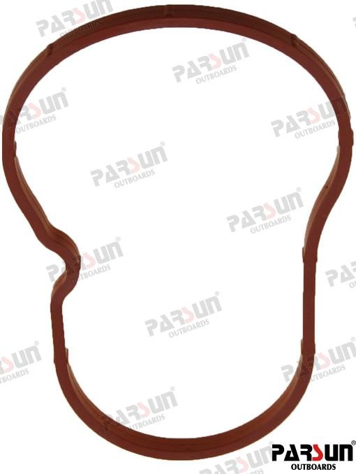 PAF20-05001809EFI SEAL, OIL CAP For PARSUN Warranty Incl